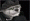 Rango: Smod